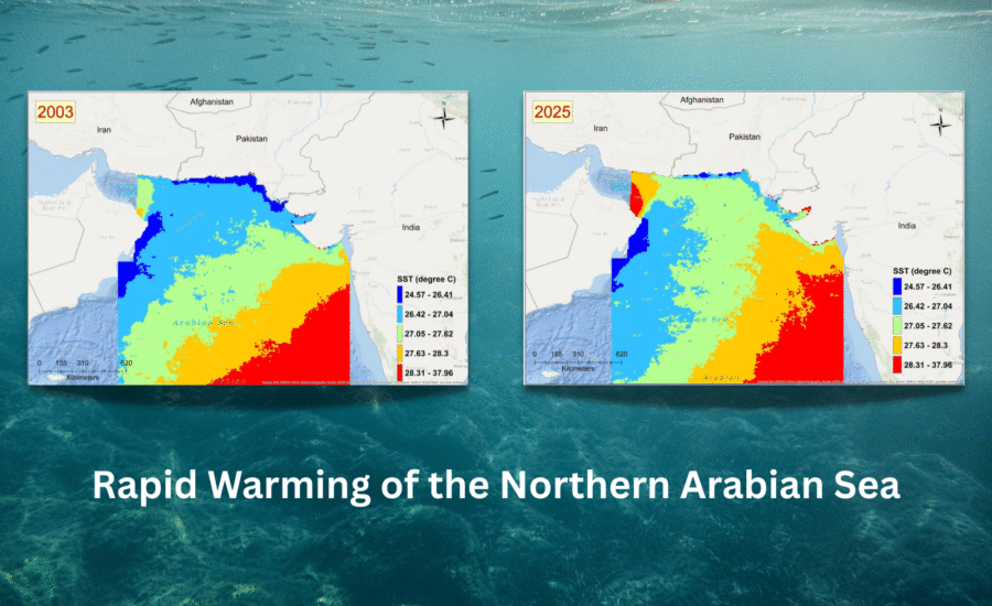 Rapid Warming of the Northern Arabian Sea